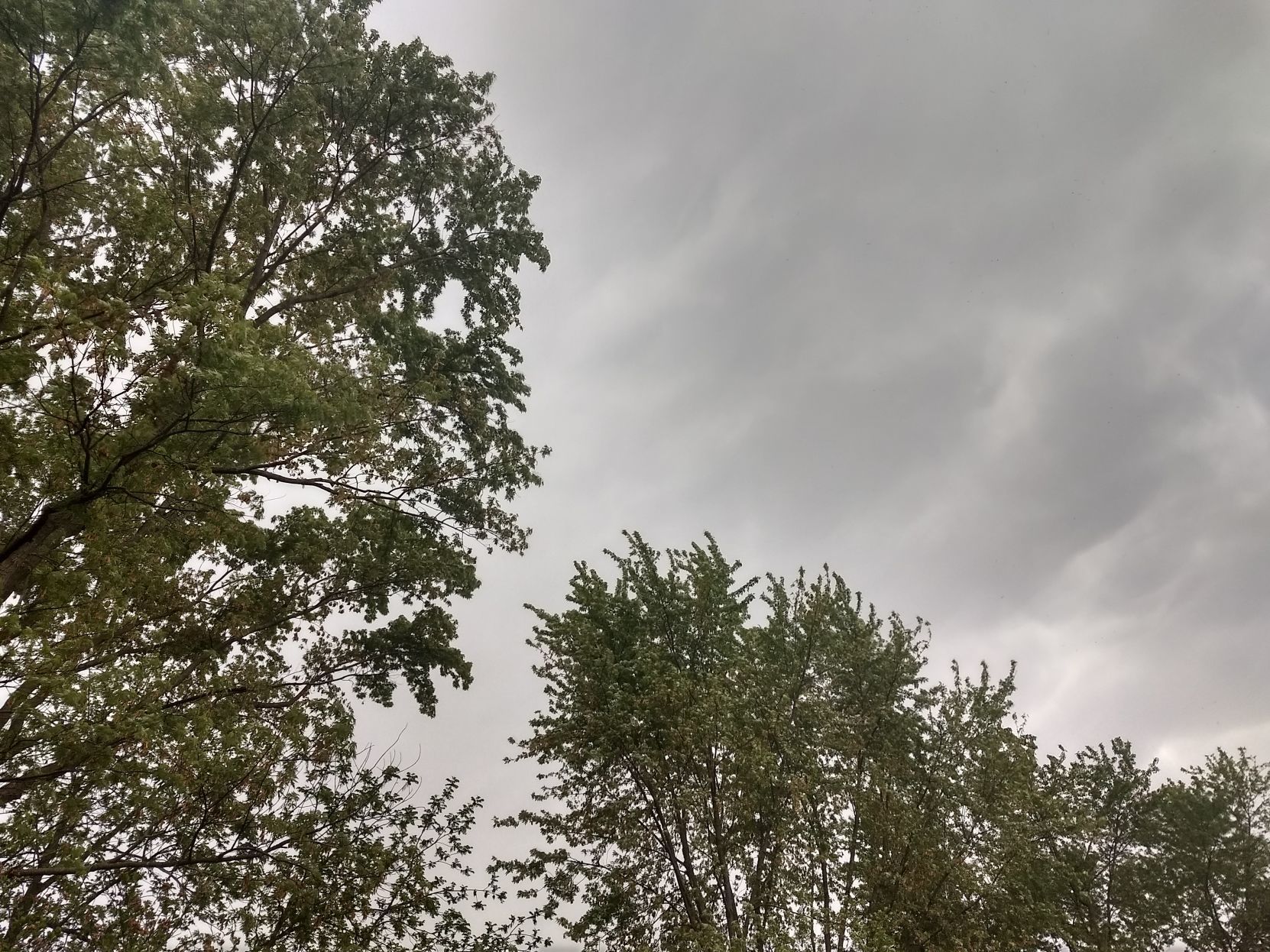 Storms
